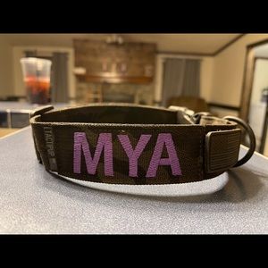 Dog Collar